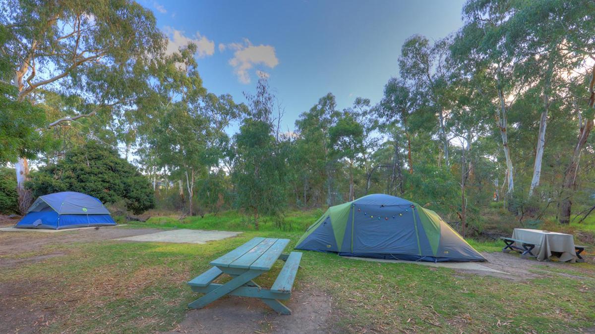 Отель Crystal Brook Tourist Park Doncaster East Экстерьер фото